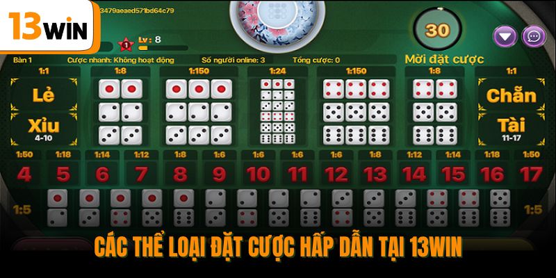 Các thể loại đặt cược hấp dẫn tại 13WIN.