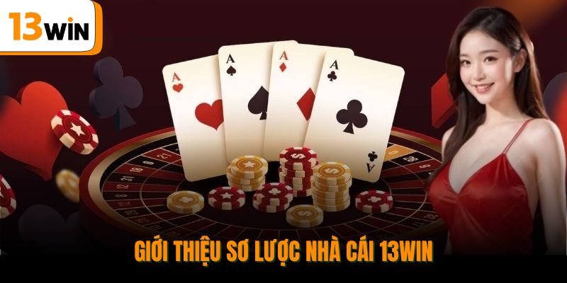 Giới thiệu sơ lược nhà cái 13win.