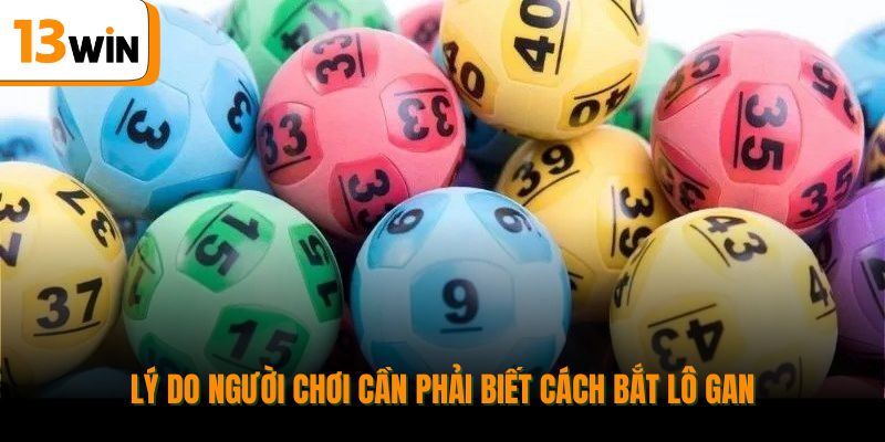 Lý do người chơi cần phải biết cách bắt lô gan.