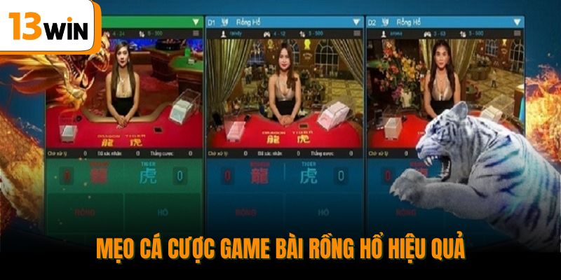 Mẹo cá cược game bài Rồng Hổ hiệu quả.