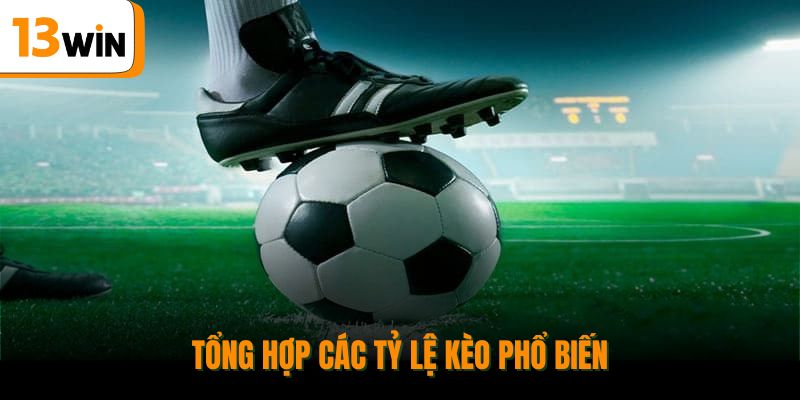 Tổng hợp các tỷ lệ kèo phổ biến.